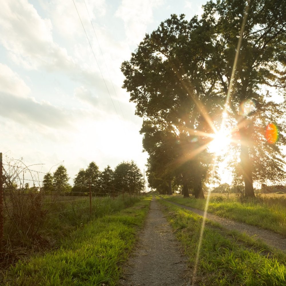 Meet your Posher, Tricia